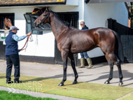 NH051025-44 - Thewoodcorner